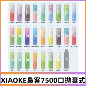 梟客XIAOKE|7500口可發光拋棄式電子煙 跑馬燈一次性